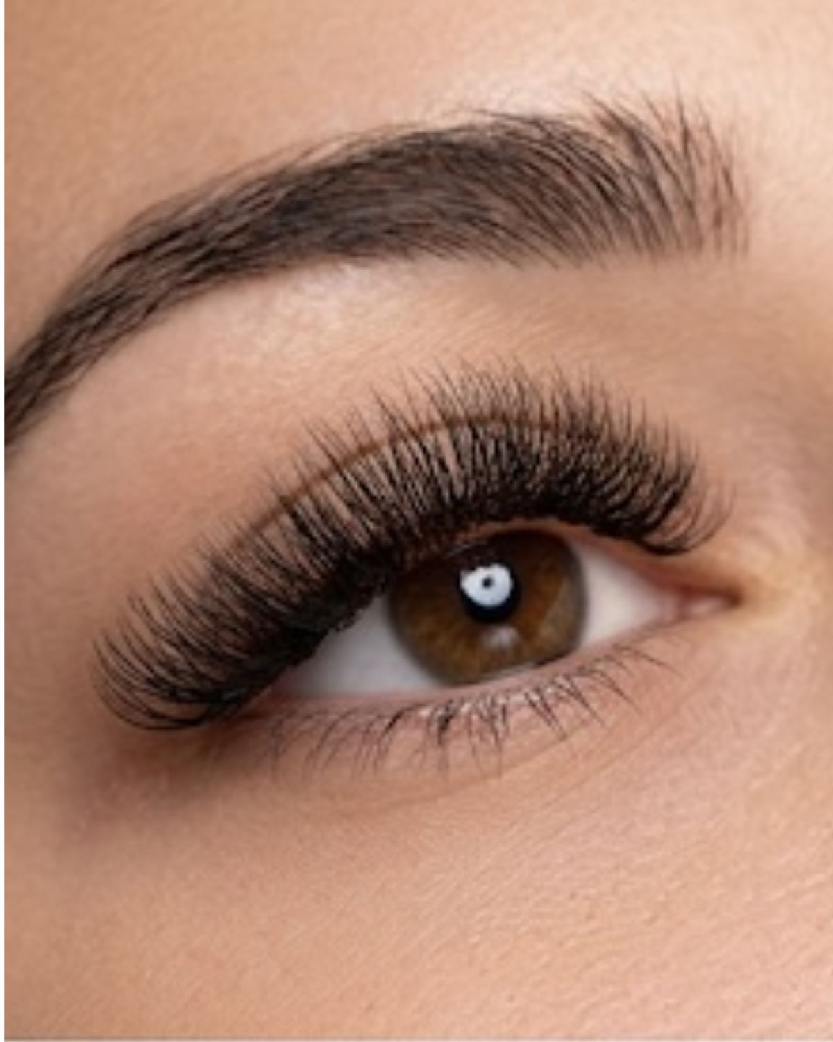 Blink & Brow Co. 1 Day Intensive Volume + Hybrid Lash Extension Training Certification